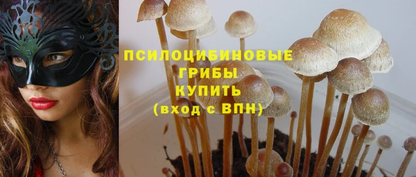 прущий лед Армянск