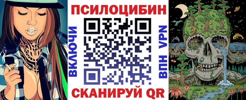 наркота  Грайворон  Галлюциногенные грибы Magic Shrooms 